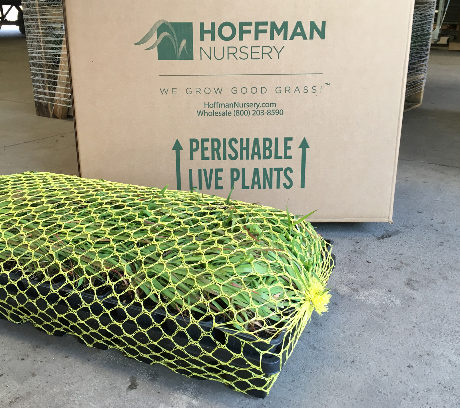 With boxed shipments, plant trays are wrapped in breathable netting to hold the plants securely.